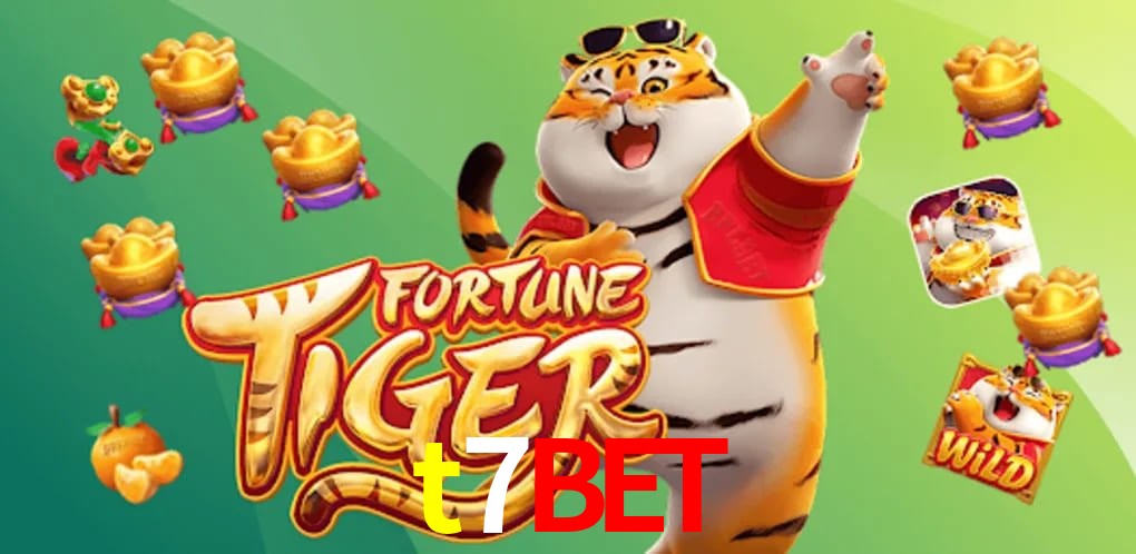 Experiência VIP t7bet